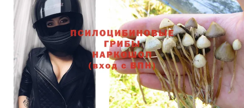 KRAKEN ONION  Куровское  Галлюциногенные грибы MAGIC MUSHROOMS  наркошоп 